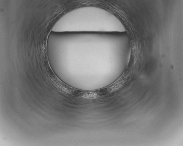 X0000080800369200612151038