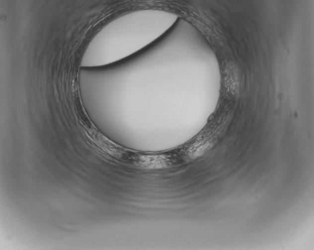 X0000080800371200612151038
