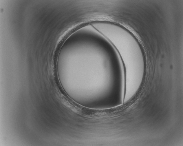 X0000080800391200612151038