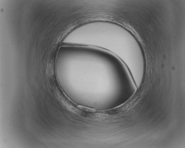X0000080800393200612151038
