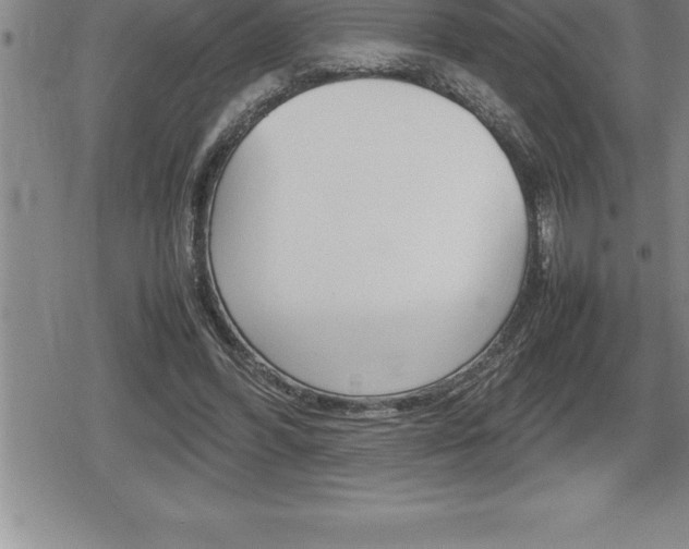 X0000080800396200612151038