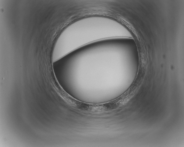 X0000080800401200612151038