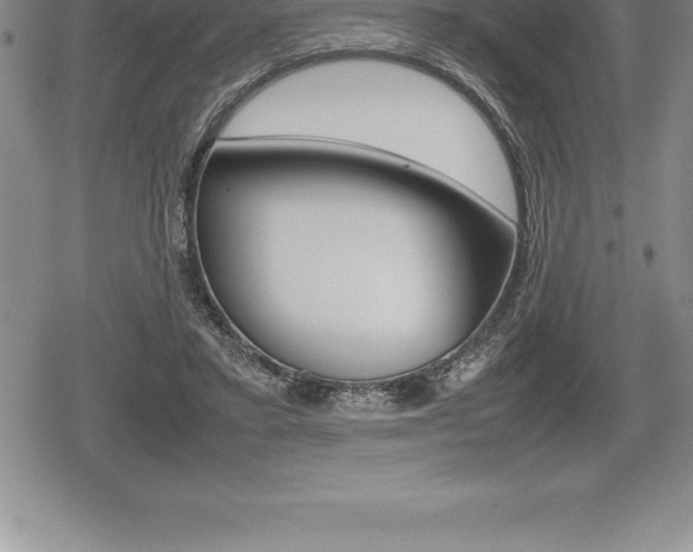 X0000080800403200612151038
