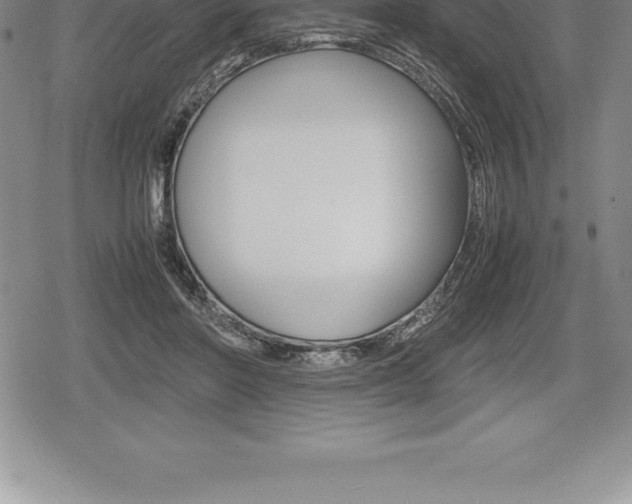 X0000080800406200612151037