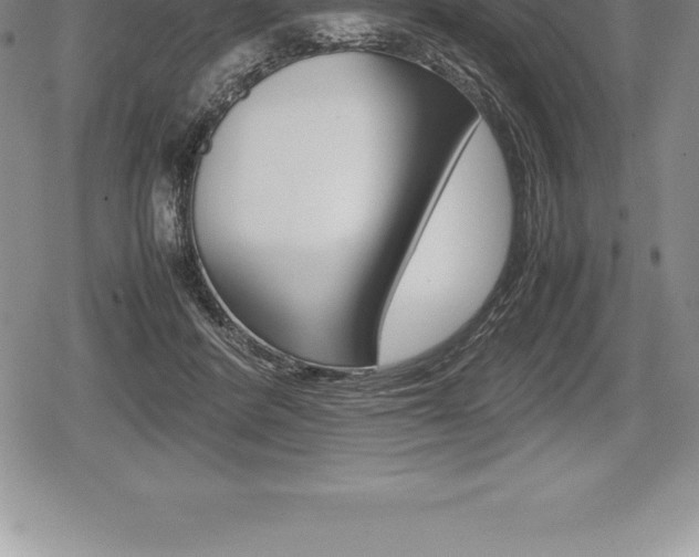 X0000080800408200612151037
