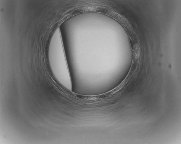 X0000080800409200612151037