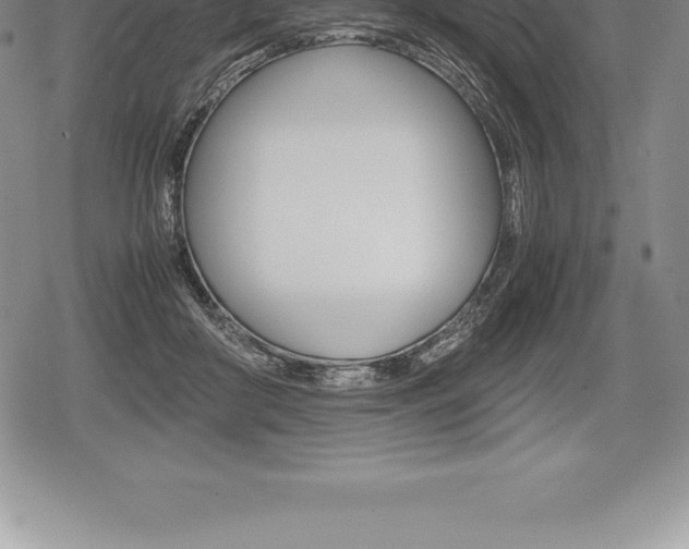 X0000080800410200612151037