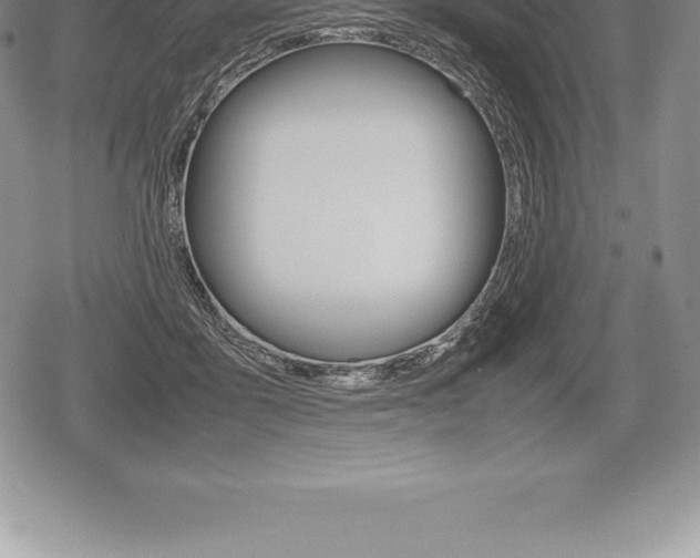 X0000080800411200612151037
