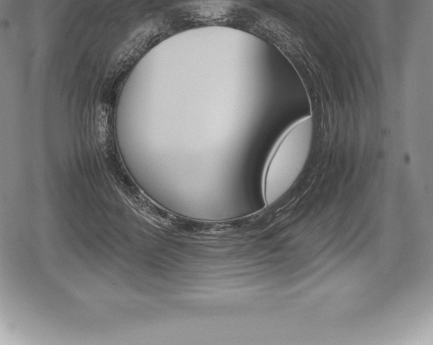 X0000080800412200612151037