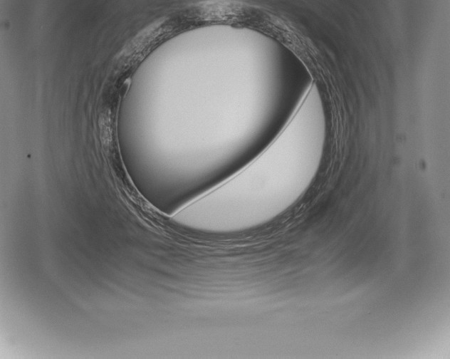 X0000080800413200612151037