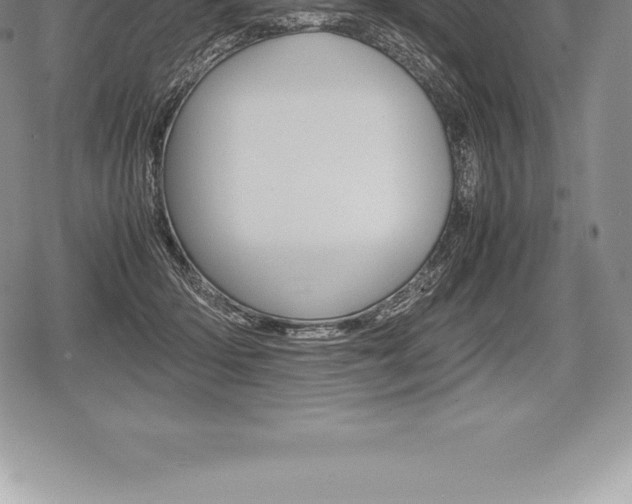 X0000080800414200612151037