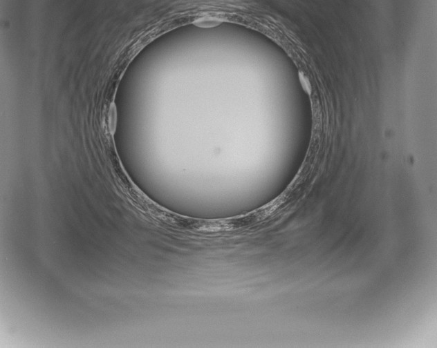 X0000080800415200612151037