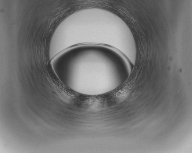 X0000080800416200612151037