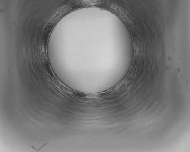 X0000080800418200612151037