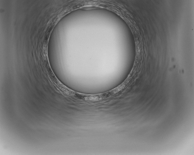 X0000080800419200612151037