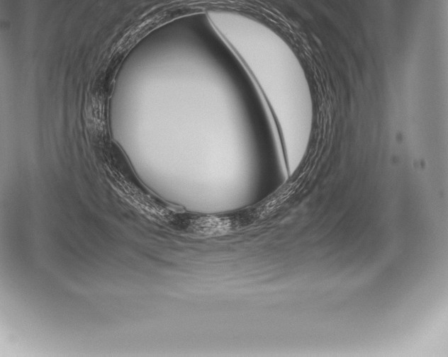 X0000080800421200612151037