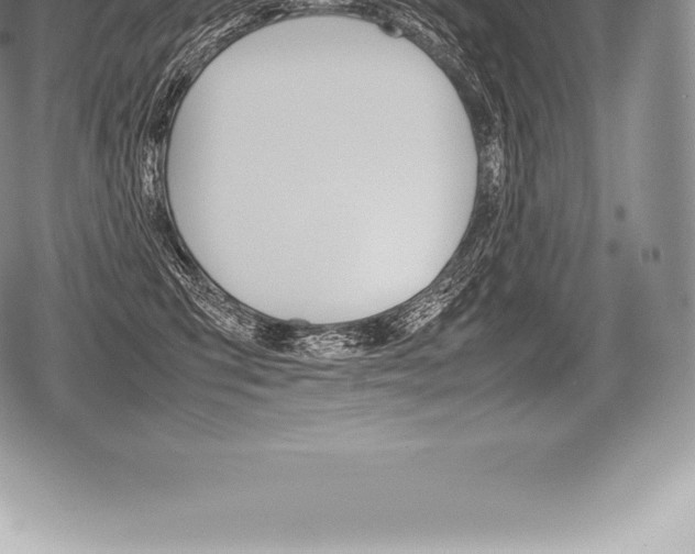 X0000080800423200612151037
