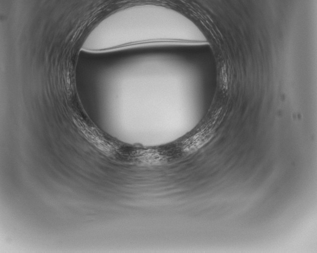 X0000080800424200612151037