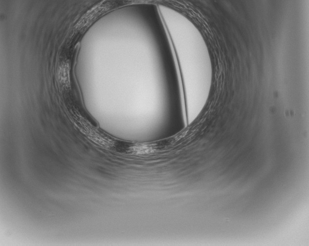 X0000080800425200612151037