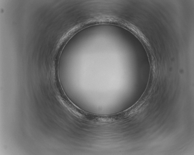 X0000080800442200612151036