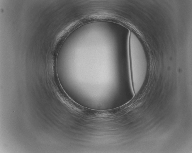 X0000080800446200612151036