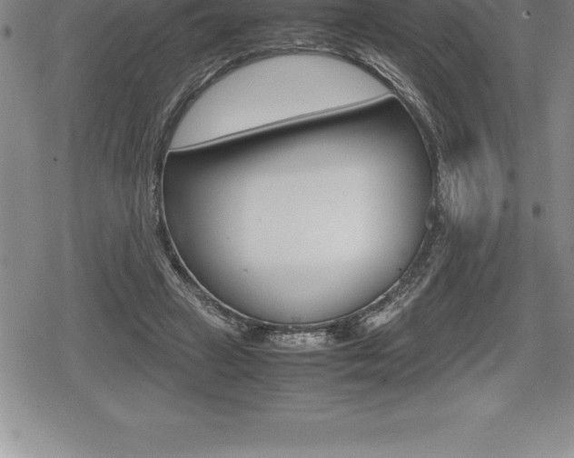 X0000080800449200612151037