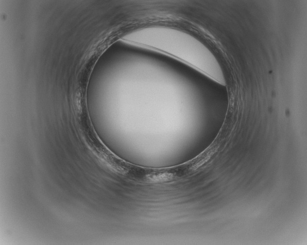 X0000080800452200612151037