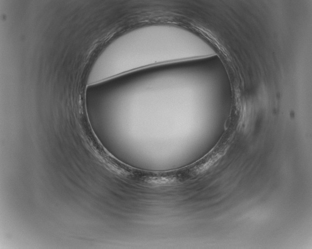 X0000080800453200612151037