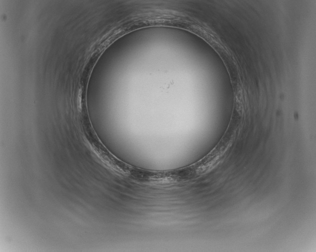 X0000080800454200612151037