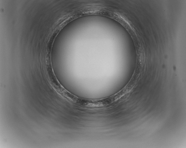 X0000080800455200612151037