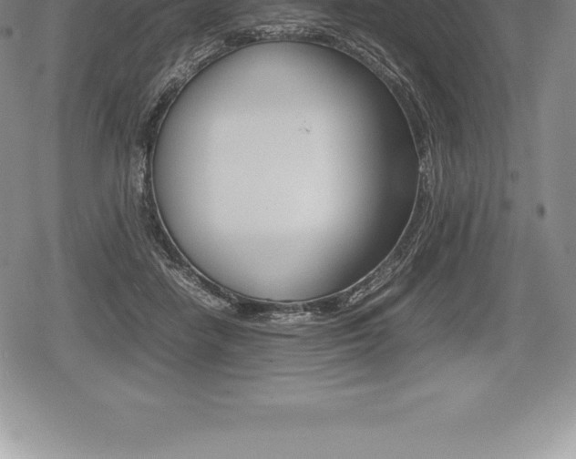 X0000080800458200612151037