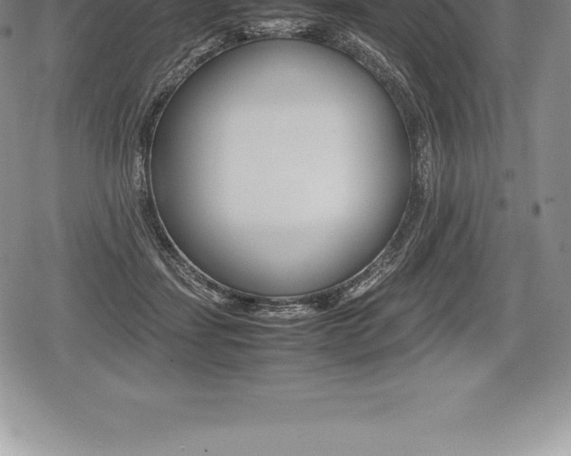 X0000080800459200612151037