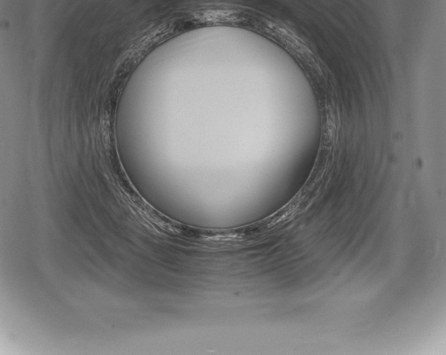 X0000080800461200612151037