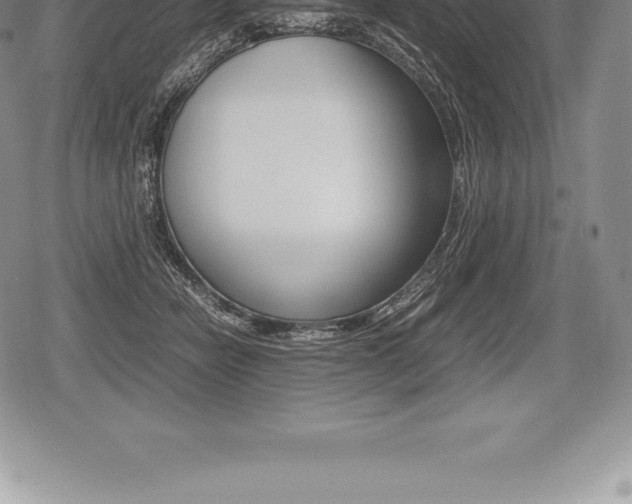 X0000080800462200612151037