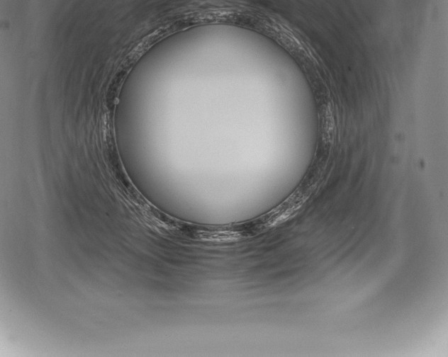 X0000080800463200612151037