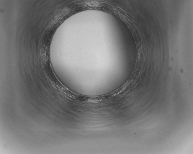 X0000080800464200612151037