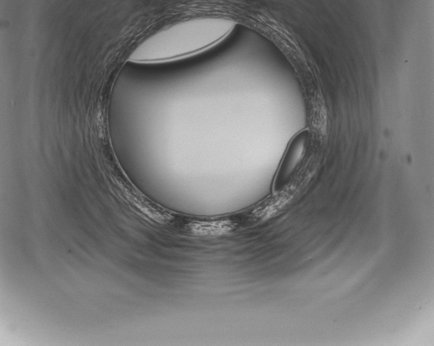 X0000080800465200612151037