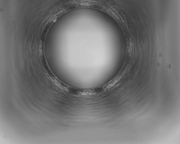 X0000080800466200612151037