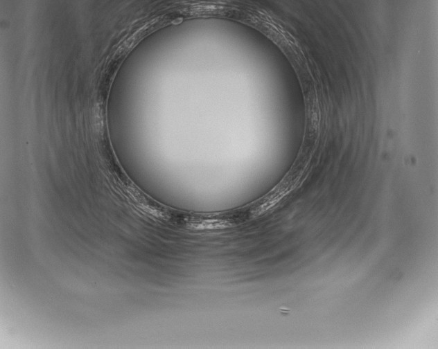 X0000080800467200612151037