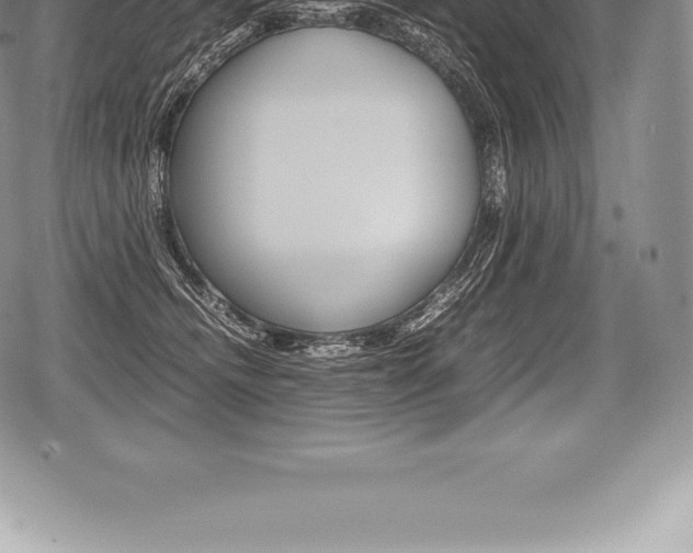 X0000080800468200612151037