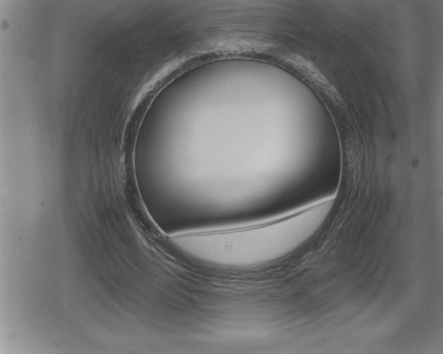 X0000080800488200612151036