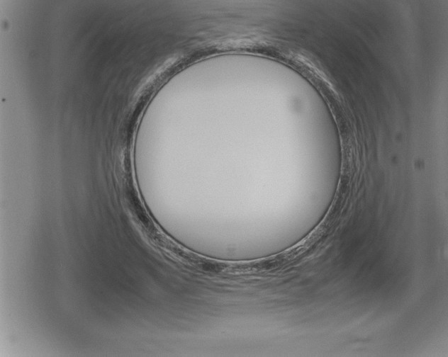 X0000080800491200612151036