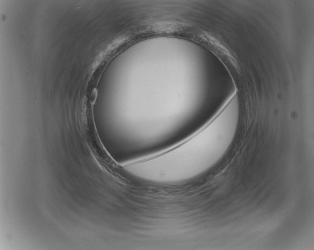 X0000080800492200612151036