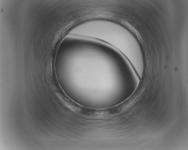X0000080800493200612151036