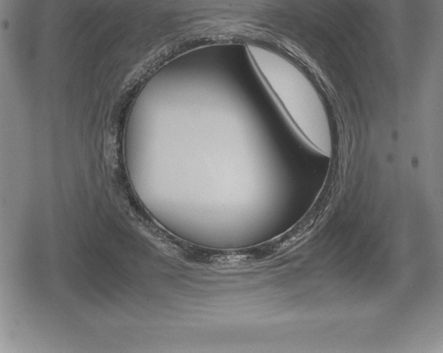 X0000080800497200612151036