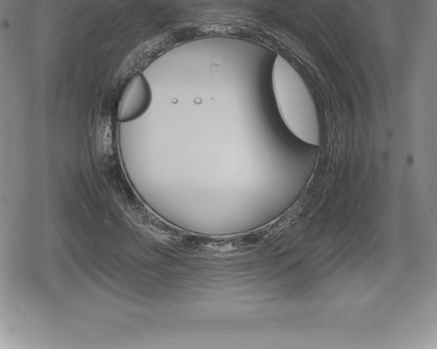 X0000080800502200612151036
