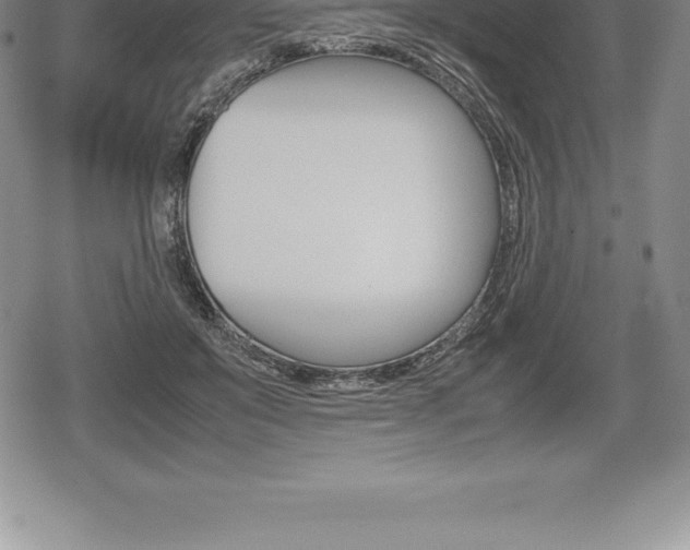 X0000080800503200612151036