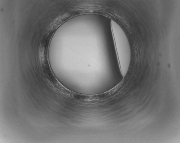 X0000080800504200612151036