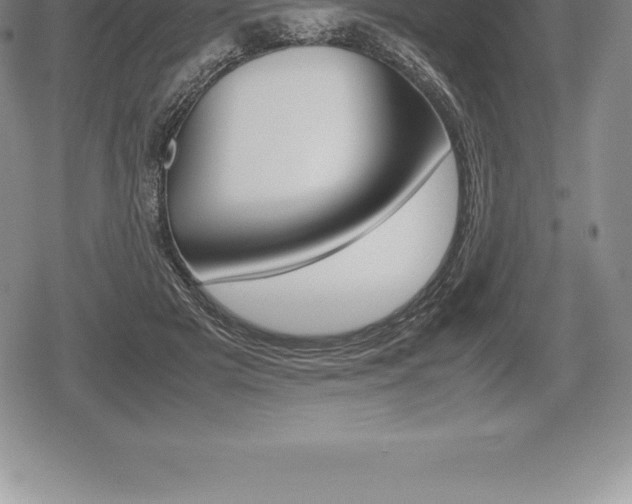 X0000080800505200612151036