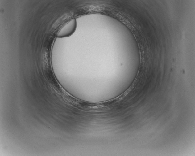 X0000080800506200612151036
